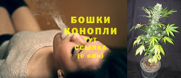 шишки Осташков